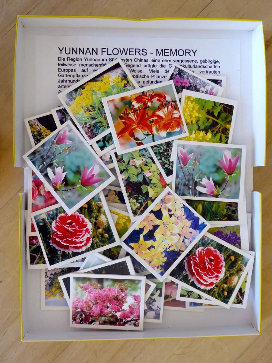 Another China - Memory „Yunnan Flowers" Kunstverein Tiergarten/Galerie Nord Berlin 2008